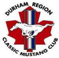 mustang png